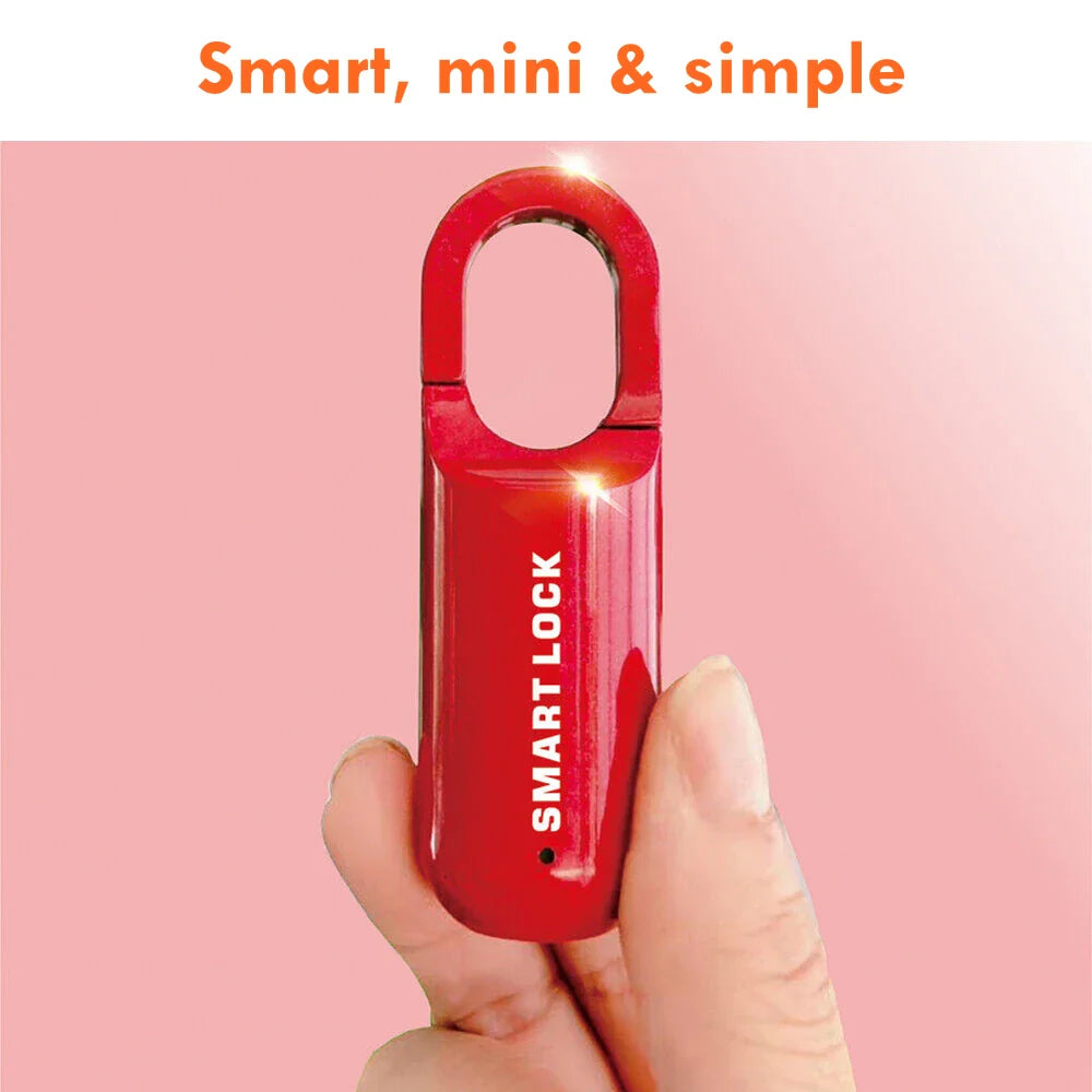 Mini Fingerprint Padlock