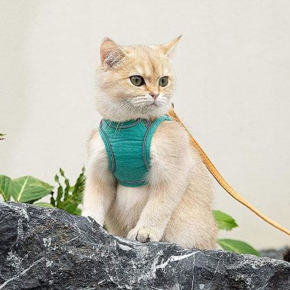 Cat Harness Leash