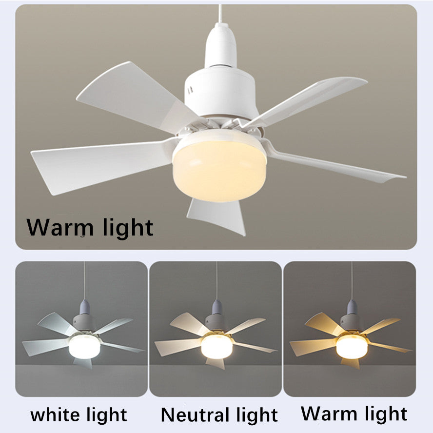 2-in-1 Ceiling Fan with Light