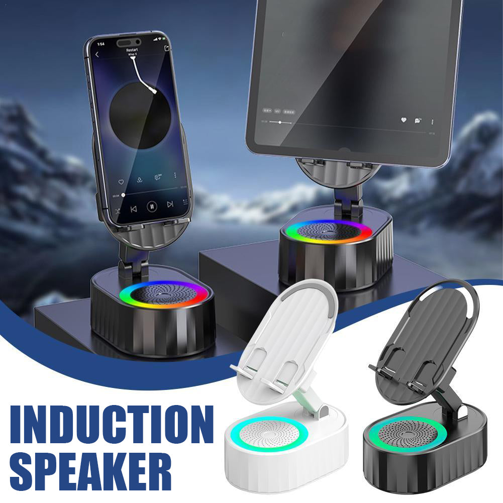 Induction Speaker