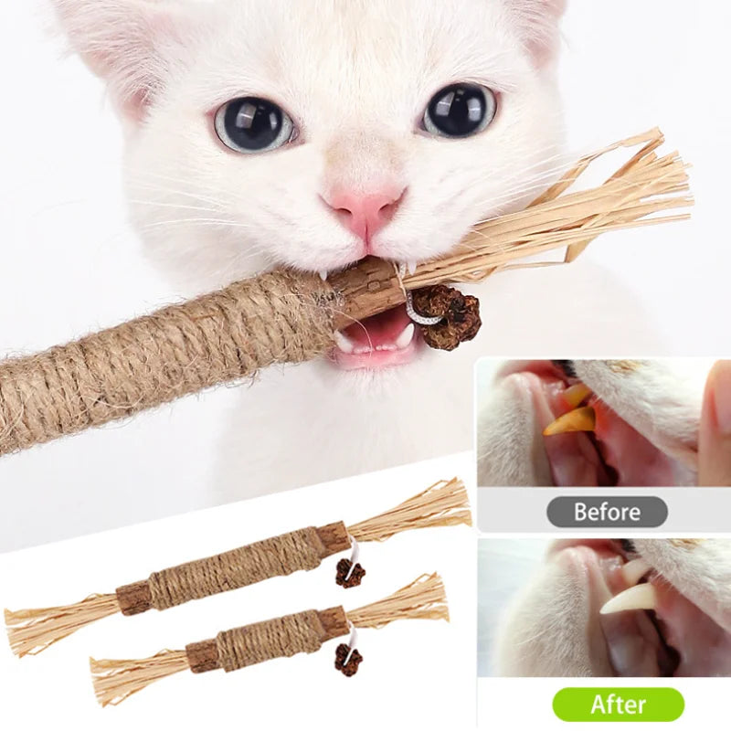 Cat Silvervine Chewing Stick