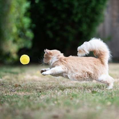 Active rolling ball