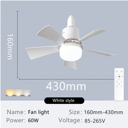 2-in-1 Ceiling Fan with Light