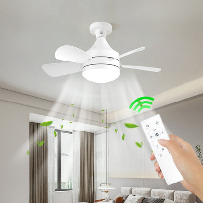 2-in-1 Ceiling Fan with Light