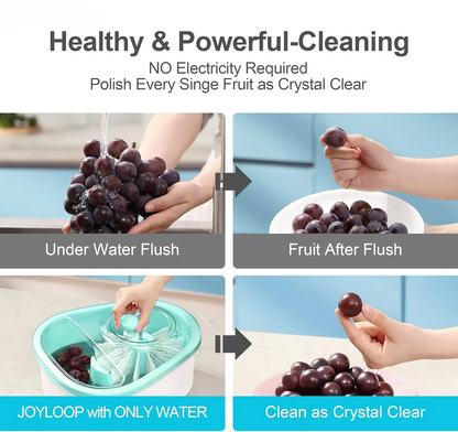 Fruit and Vegetable Cleaning Machine